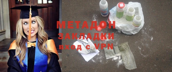индика Арсеньев